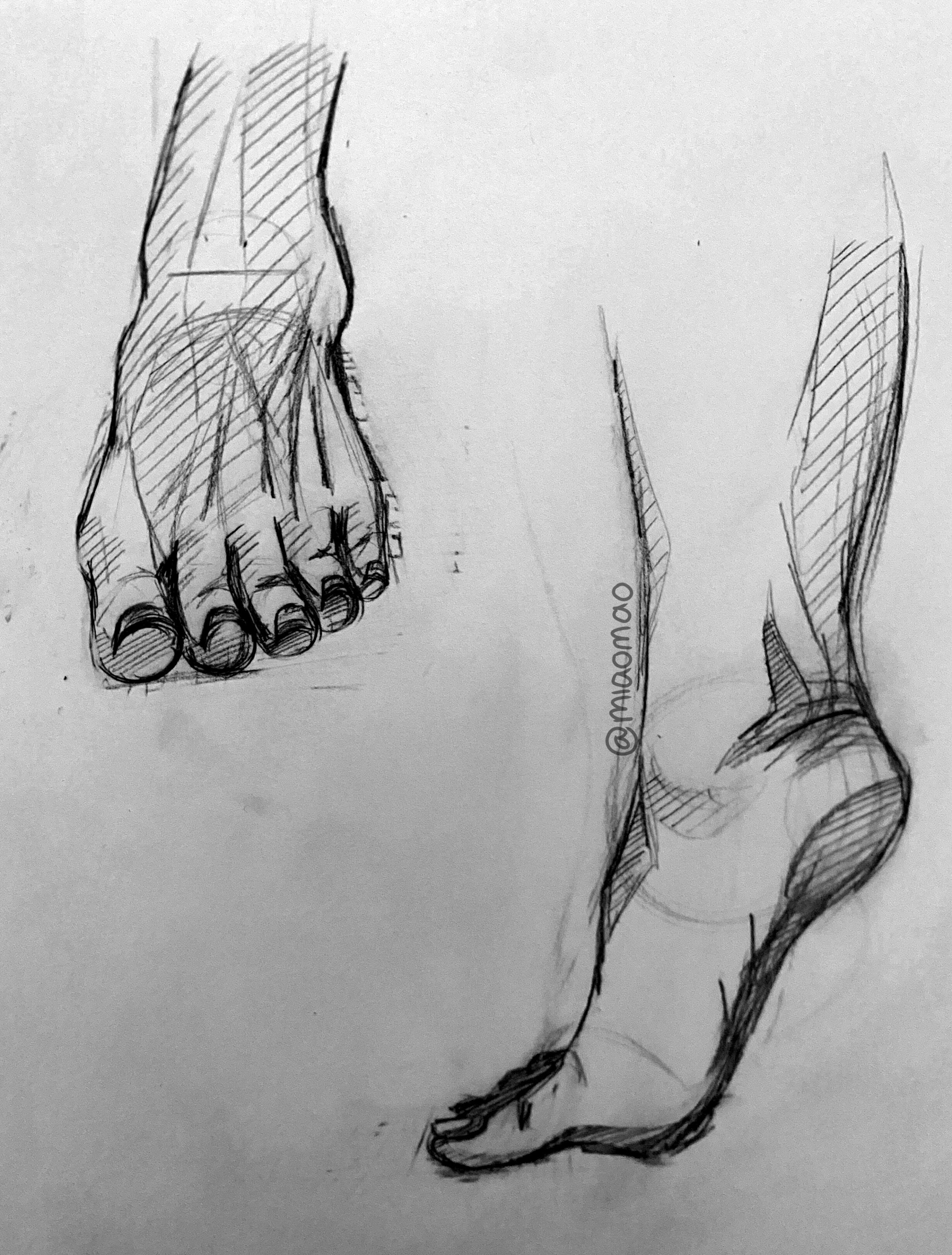 Feet Study