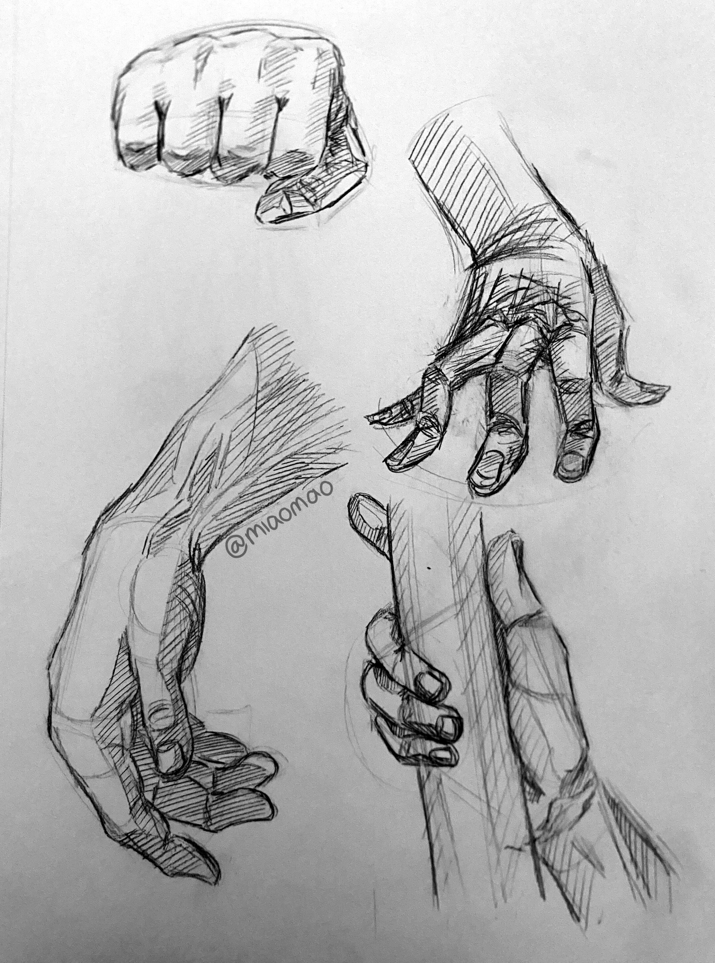 Hand Study