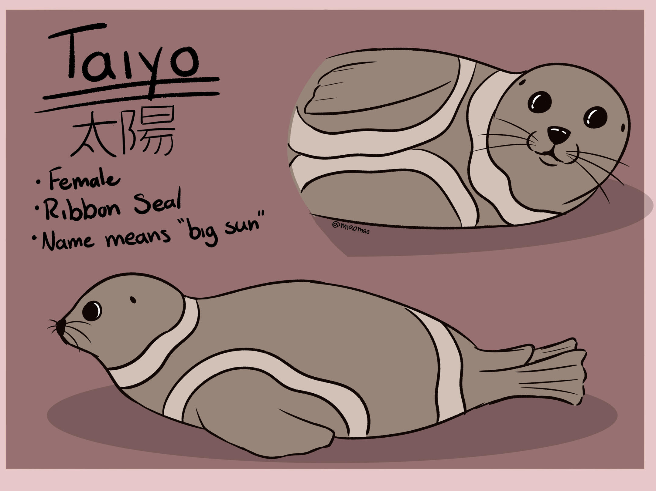 Seal OC Reference Sheet